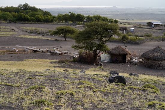 Die ersten Hirten ziehen mit ihren Herden los.