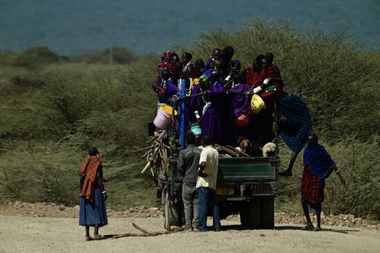 Ob das wohl passt? Ist doch schon so voll!