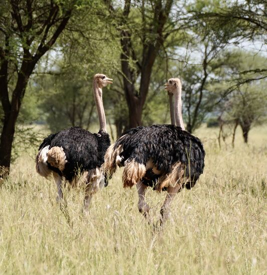 „Haste gesehen: mal wieder Besucher!“