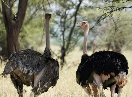„Wurde auch so langsam Zeit. die im Camp warten schon so lange“