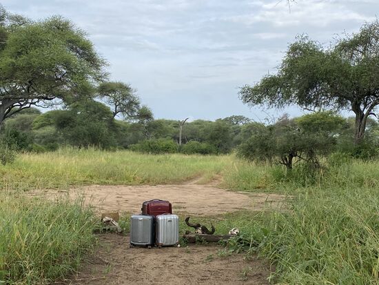 Unser Gepäck steht schon bereit, aber wo ist Timothy mit dem Jeep?