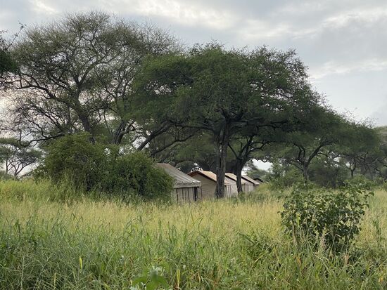 Die Zelte für die Gäste