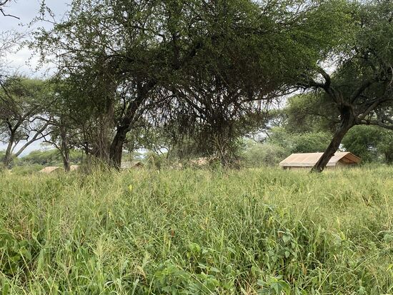 Noch mehr Zelte.
Emanuel sagt, dass übernächste Woche 6 Gäste erwartet werden