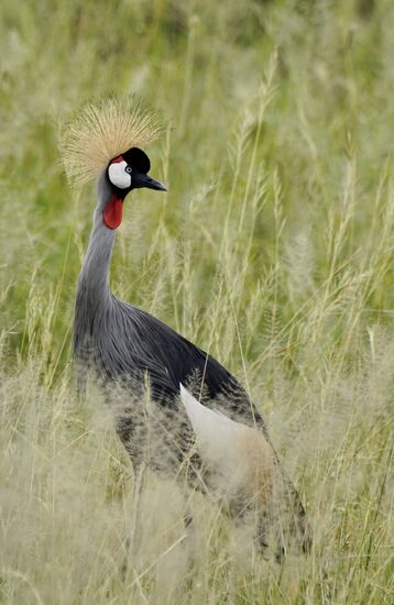 So prachtvolle Farben