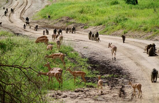 Straßensperre….. hier wird einfach mal die ganze Straße in Beschlag genommen.