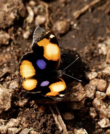Sie sitzen auf dem Boden…