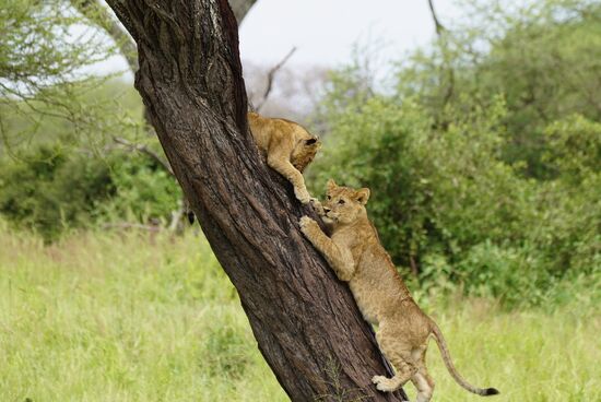 Hier spielen die Kleinen. Klettern steht auf dem Programm