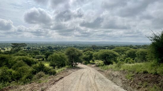 Nach dem leckeren Frühstück gehts dann zur vorerst letzten Pirschfahrt.
Es ist auch die vorerst letzte Safari und Thomas knipst was das Zeug hält!