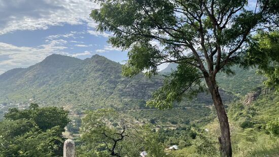 Leider fängt es nun auch noch an zu regnen, sodass Timothy nicht zurück fahren kann.