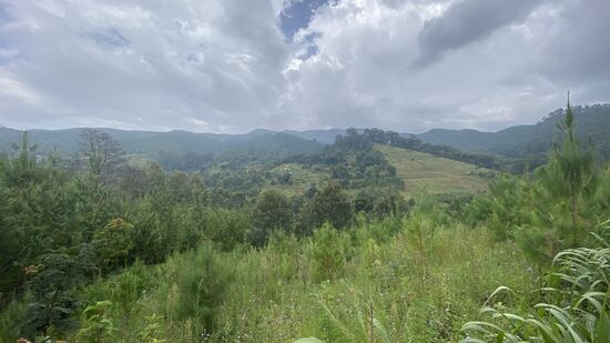 Nach einigen Kilometern beginnt die Steigung und wir müssen einige Höhenmeter „stemmen“.