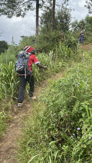 Roggers hat uns einige Chamäleon versprochen
