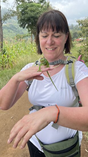 Da habe ich es - das 1. Chamäleon 