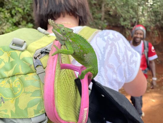 Kleiner Kletterfritze
