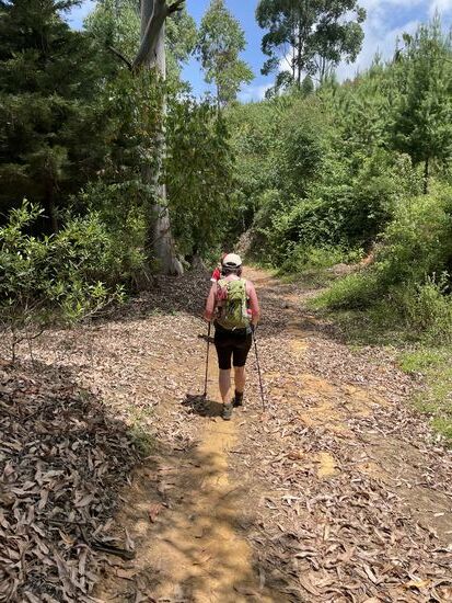 Zum Glück finden wir immer wieder Schatten. In der Sonne zu wandern ist sehr schweißtreibend.