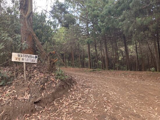 Letzte Abbiegung und …