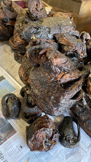 Geräucherte Fische aus Meer und See