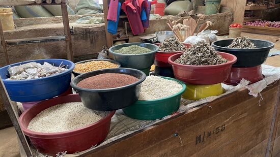 Vielerlei Körner und getrocknete Lebensmittel