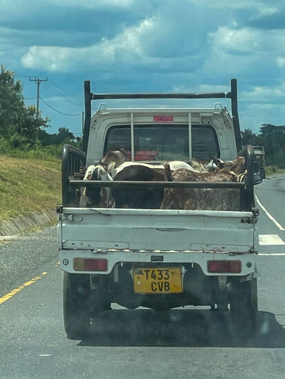 Nach anfänglicher Schotterpiste runter von den Bergen, geht es dann auf Asphalt weiter. Da es sich hier um die Hauptstrecke nach Daressalam handelt, ist viel Betrieb auf der Straße.