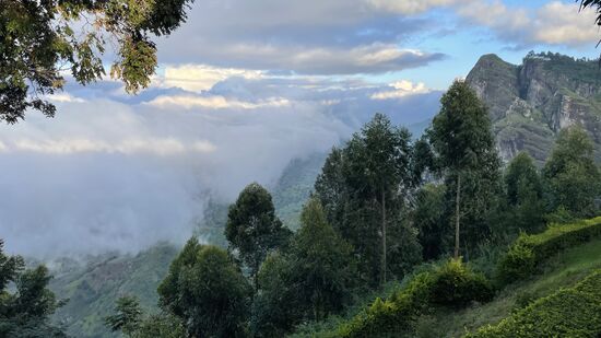 Guten Morgen Irente! Unser letzter Tag in den Usambara Mountain bricht an.