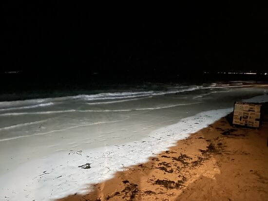 Auf dem Weg zurück geht es noch einmal am Wasser entlang. Die Villa Kiota liegt keine 50 Meter vom Strand entfernt.
Paje ist nicht so touristisch wie andere Orte auf Sansibar. Es hat hierher sehr viele Aussteiger verschlagen. Und dieser Ort ist einer der vier berühmtesten Orte für Kite-Surfing. 
Wir sitzen noch mit Elske und Sadat bei einem Bier auf ihrer Terrasse und plaudern nett. Zu Besuch ist auch noch ein Freund der beiden aus Hamburg, der uns dennTip gibt, unbedingt „Michamvi“ zu besuchen.
Müde von der Anreise gehen wir zu Bett. Der Ventilator unter der Decke bringt nicht wirklich eine Abkühlung sondern quirlt nur die heiße Luft. Aber wir schlafen trotzdem gut 