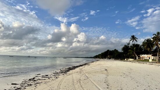 Blick nach rechts: Leider viele Algen, aber noch schön leer