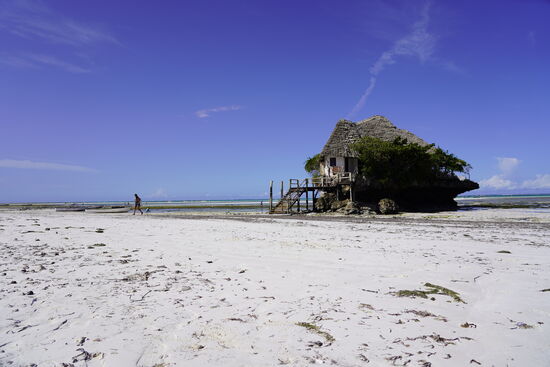 THE ROCK - DAS angesagte Restaurant auf Sansibar. Wir haben für 16:00 Uhr einen Tisch bestellt.
Erstmal große Enttäuschung bei Thomas, da gerade Ebbe ist-