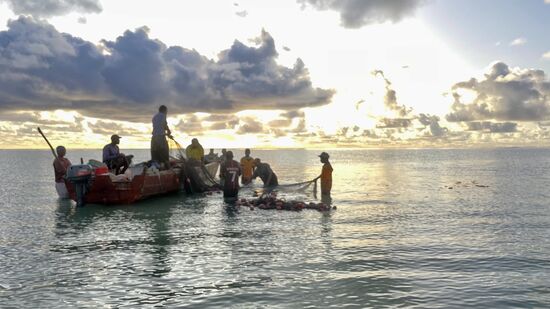 und beobachten die Fischer