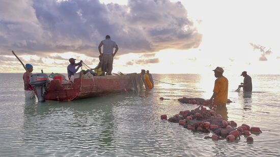 Gegen 7.30 Uhr brennt die Sonne wieder und wir gehen zurück