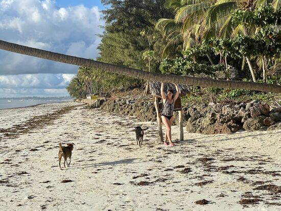 Boh, bin ich vielleicht stark. 