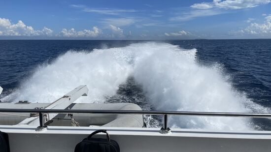 Auf gehts Richtung Daressalam!m 90 Minuten Überfahrt liegen vor uns.