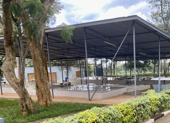 Wir verlassen die Kirche und gehen über das Gelände. Auch hier sieht man Grabkammern, zu denen wir Zugang hatten. Auch auf diesem Gelände liegen ca. 40.000 Gebeine der Opfer.
Ein starker Kontrast zu unserem bisherigen Programm. Aber ein lohnenswerter Besuch.