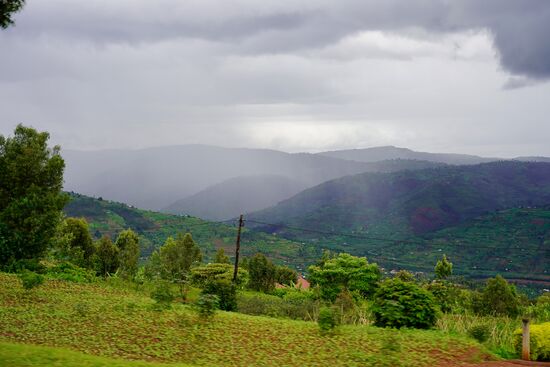Im Laufe der weiteren Fahrt verstehen wir immer mehr, warum Ruanda das Land der 1000 Hügel heißt