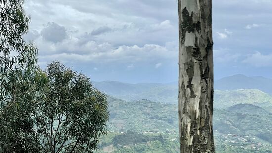 Es geht immer weiter hinauf. Jetzt sind wir schon auf über 2000 Meter