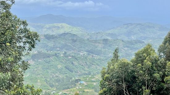 Die Aussicht ist einfach nur herrlich.