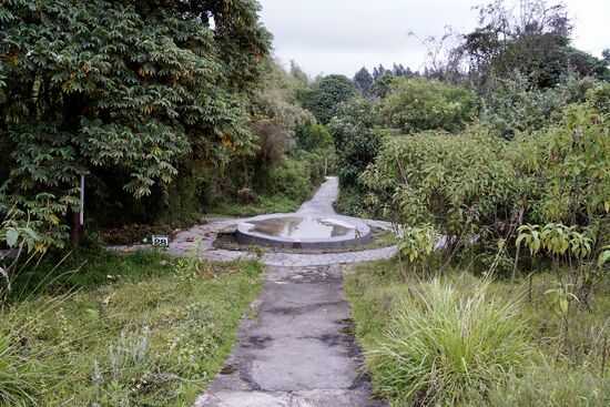 Eingebettet in einen Urwald. Aber es gibt außer Vögel keine Tiere.