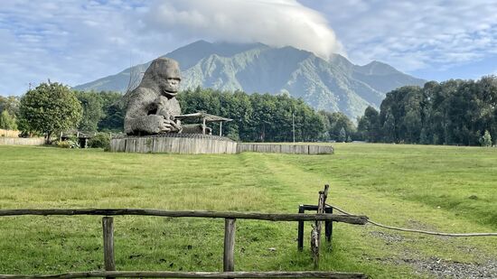 7.00 Uhr - frühes Aufstehen (5 Uhr) und Frühstück (6 Uhr) sind angesagt und auf geht es zum Center des Virunga Mountain National Parks.