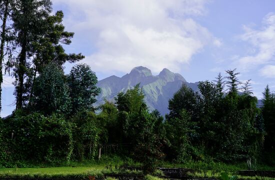 Wir parken das Auto, unser Guide Steven verabschiedet sich und wünscht uns einen schönen Tag.
