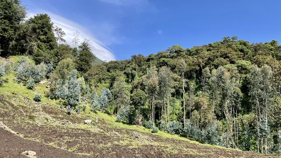 Hier sehen wir nach ca. 2 km Kästen in der Landschaft stehen. Es handelt sich hierbei um Bienenkästen.