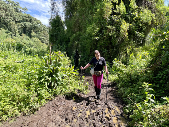 Was anfänglich wir ein gemütlicher Spaziergang anmutete, entwickelt sich als kräftezehrendes Hiking. Aufgrund der starken Regenfälle (zurzeit ist Regenzeit) ist der Boden durchweicht und teilweise müssen wir durch Knöchel- bzw.kniehohen Schlamm. Immer wieder kommen wir auch auf Sumpfgebiete und wir bleiben trotz Wanderstöcke immer mal wieder stecken.
