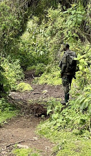 Und immer wieder unsere Bewacher: selbst als Thomas mal hinter den Baum geht, steht ein Bewacher in Lauerstellung