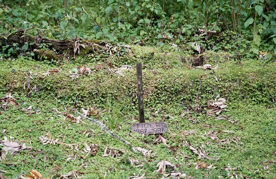 Wir schauen uns in dem Camp verschiedene Stationen an. Sicherlich am eindrucksvollsten ist der Friedhof „ihrer Freunde“. Auf diesem sind viele Gorilla begraben, die während Ihrer Zeit und Arbeit hier verstorben sind. Und anderem Digit. Er wurde von Wilderern getötet. Es war ein Auftragsmord. Ein Hutu Händler hat 20 USD für diverse Körperteile gezahlt - den Kopf als Trophäe, die Hände als Aschenbecher. Dieses hat Dian sehr stark betroffen gemacht und sie hat sich mehr und mehr dafür stark gemacht, dass Wilderern das Handwerk gelegt wird und das Zuhause der Gorilla nicht zu stark kommerzialisiert wird. Nach diesem Ereignis hat sie den Digit-Fund gegründet. Dieser Fund hat unter anderem Patrouillen finanziert, die die Fallen der Wilderer aufgespürt und vernichtet hat.
Es wurden später weitere Gorilla von Wilderern getötet. Aus diesem Grunde hat Dian diesen Friedhof angelegt und sie hat zu Lebzeiten bereits verfügt, dass sie nach ihrem Tod neben ihren Freunden beigesetzt werden möchte.
Fossey hat sich durch ihre Arbeit und ihr Engagement nicht nur Freunde gemacht.
Wer Dian Fossey hier besuchen wollte, benötigte eine von ihr vorher ausgestellte Genehmigung. Sie hat auch Besuchswünsche abgelehnt, wenn sie den Eindruck hatte, dass es nicht um wissenschaftliche Aspekte ging.
Für ihre Mitarbeiter hat sich Fossey jedoch immer sehr stark gemacht. Es waren immer 10 Männer aus dem Dorf in dem Camp. Sie hatten hier Unterkunft, eine Küche, ein Restaurant und Gemeinschaftsräume. Jeden Morgen hat sie ein Briefing mit den Männern abgehalten, dann ist man in den Wald zu den Gorilla. Außer ihr durfte aber niemand sonst ganz nah an die Gorilla heran und sie schon garnicht berühren. Die Forschungsarbeit sollte die Gorilla nicht zu sehr habituieren.