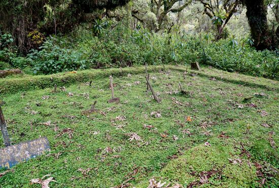 … und auch Dian Fossey fand hier ihre letzte Ruhe