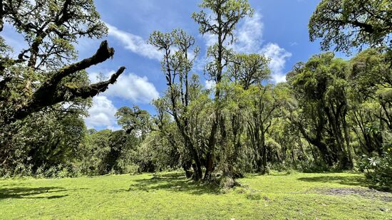 Wir gehen weiter entlang einiger Stationen des Camps