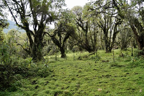 An dieser Stelle stand ein Gebäude, in dem Forscher bereits zum damaligen Zeitpunkt Untersuchungen zum Klima vorgenommen haben.