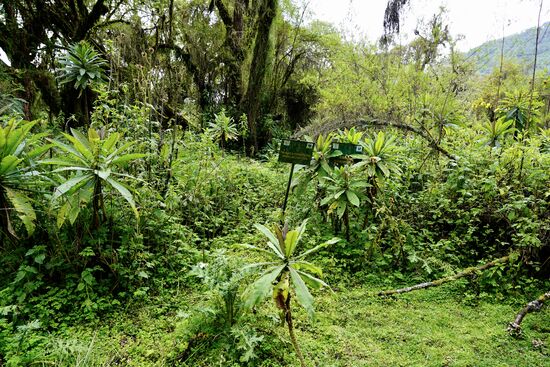 Bereich, in dem Unterkünfte der Männer standen.