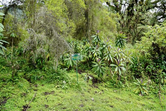 Un an dieser Stelle hat das Restaurant der Männer gestanden. Es gab auch eine Küche und Vorratsräume.