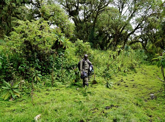 Theo verfolgt Thomas auf Tritt und Schritt - schließlich trägt er ja die Fotoausrüstung 