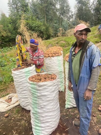 Auf dem Rückweg stoppen wir und bestaunen die dicken Kartoffeln, die hier geerntet werden.
Als wir im Hotel ankommen, stürmen direkt einige Mitarbeiter des Hotels auf unser Auto zu, reißen die Türen auf und uns die Schuhe aus den Händen. Die gehen zur Grundreinigung. Die nehmen wir auch vor, bevor wir müde aber glücklich zum Abendessen gehen.