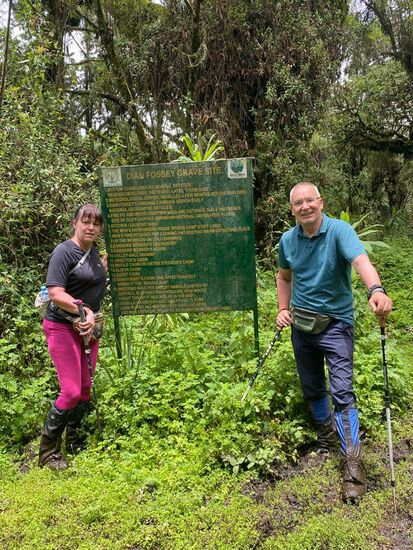 Am Ziel: auf 3.100 Meter erreichen wir nach knapp drei Stunden das Ziel: die Forschungsstation von Dian Fossey.
Dian war US Amerikanerin, 1932 in San Francisco geboren, gelernte Ergotherapeutin und wurde später Zoologin und Verhaltensforscherin. Sie besuchte 1963 zum ersten Mal den afrikanischen Kontinent und hatte damals im Kongo die erste Begegnung mit Gorillas. 1966 kam sie dann für Forschungszwecke hier in den Virunga Nationalpark. Sie erhielt als einzige Person eine Genehmigung, innerhalb des NP zu leben und zu wohnen. Sie baute hier zunächst ein Zelt und begann mit ihrer Arbeit. Sie ging - in Begleitung einiger Männer aus der hiesigen Community - zu den Gorillas und hat sich ihnen - in monatelanger mühsamer Arbeit - genähert. Nur ihr war es erlaubt, direkten Kontakt aufzunehmen. Als ihr dies gelungen war, haben z.B. Gorilla-Mütter ihre Jungen in die Arme von Dian gelegt.
Dian Fossey hat ihre Forschungen ausgeweitet und vielen Forschern aus der ganzen Welt die Möglichkeit gegeben, für einige Tage oder Wochen in ihr Camp zu kommen. So unter anderem auch dem deutschen Forscher Dieter Steklis. Steklis hat nach dem Tod von Fossey die Arbeit noch fortgesetzt. Heute lebt er in den USA und hat dort eine Professur.
Dian Fossey hat sehr viele Artikel in National Geographics verfasst und verschiedene Filme gedreht. Sehenswert - weil dieser Film das Leben und Wirken dieser großartigen Forscherin beschreibt - der Film „Gorilla im Nebel“
