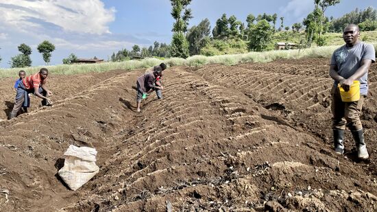 Um 15:30 Uhr waren wir dann fast wieder an unserem Ausgangspunkt. Wir unterhalten uns noch ein wenig mit den Bauern, die gerade dabei sind, die Zwiebel-Setzlinge in den Boden zu bringen - und das alles von Hand. Die Bauern sind erstaunt, dass bei uns in Deutschland so etwas mit Maschinen gemacht wird.